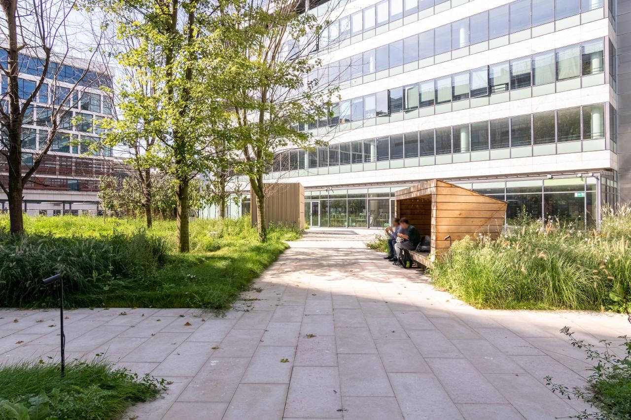 Location bureau La Plaine Saint-Denis Seine-Saint-Denis OLBUR2100384 16