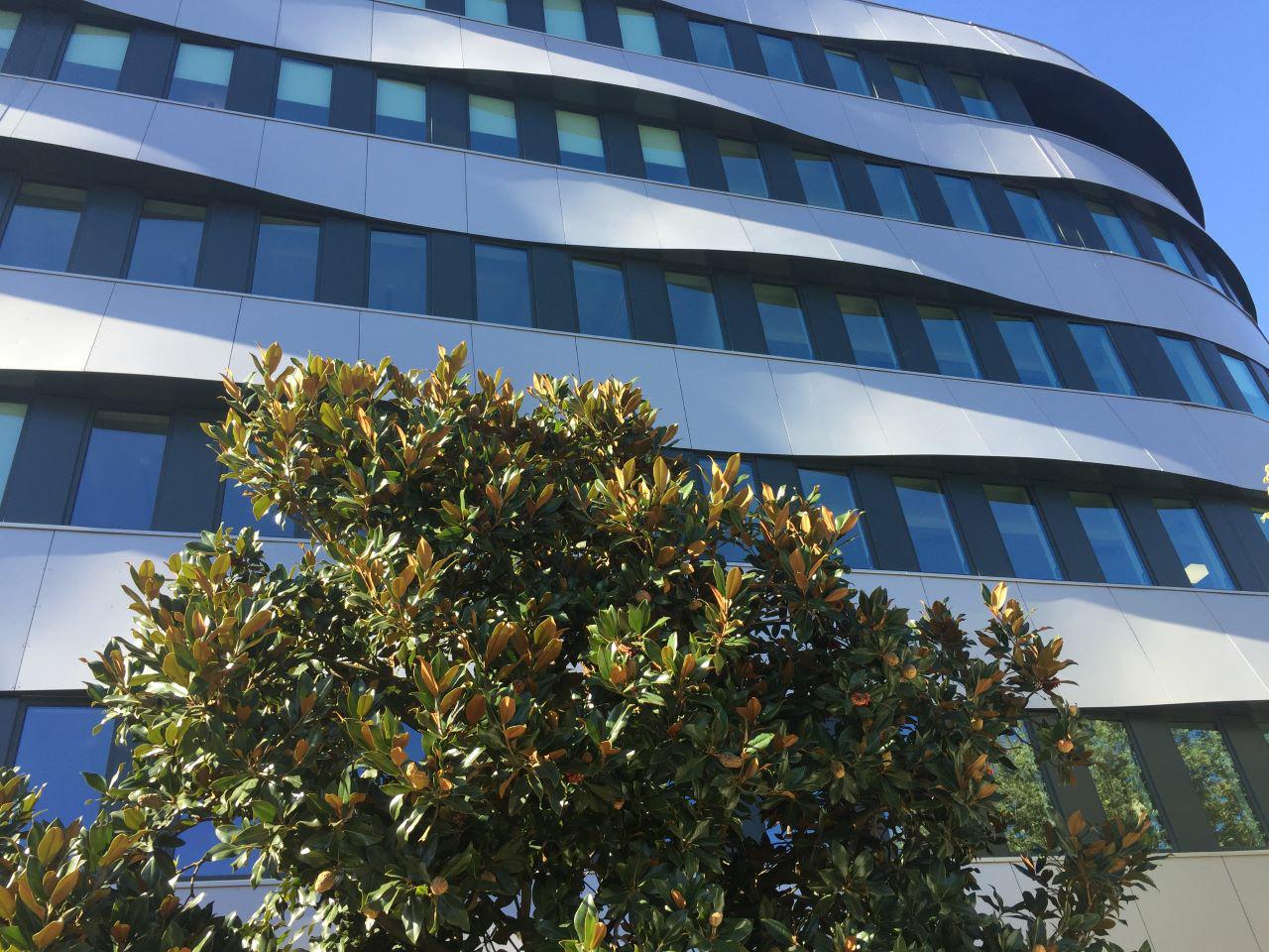 Location bureau Lyon Rhône OLBUR2419115 1