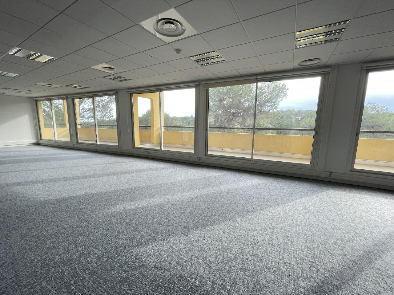 Location bureau Sophia Antipolis Alpes-Maritimes OLBUR2114891 9