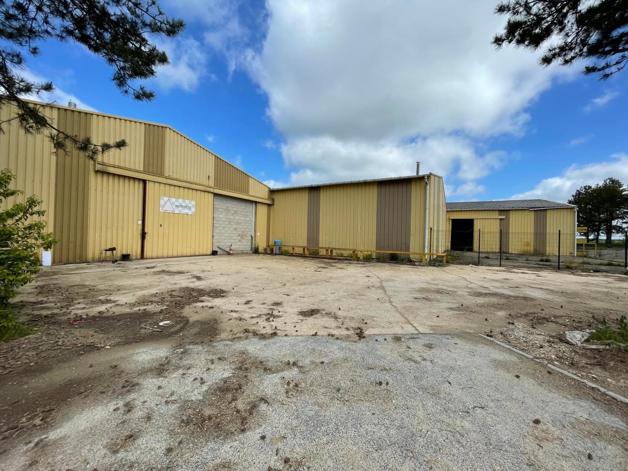 Vente local d'activité Thiverval-Grignon Yvelines OVACT2532599