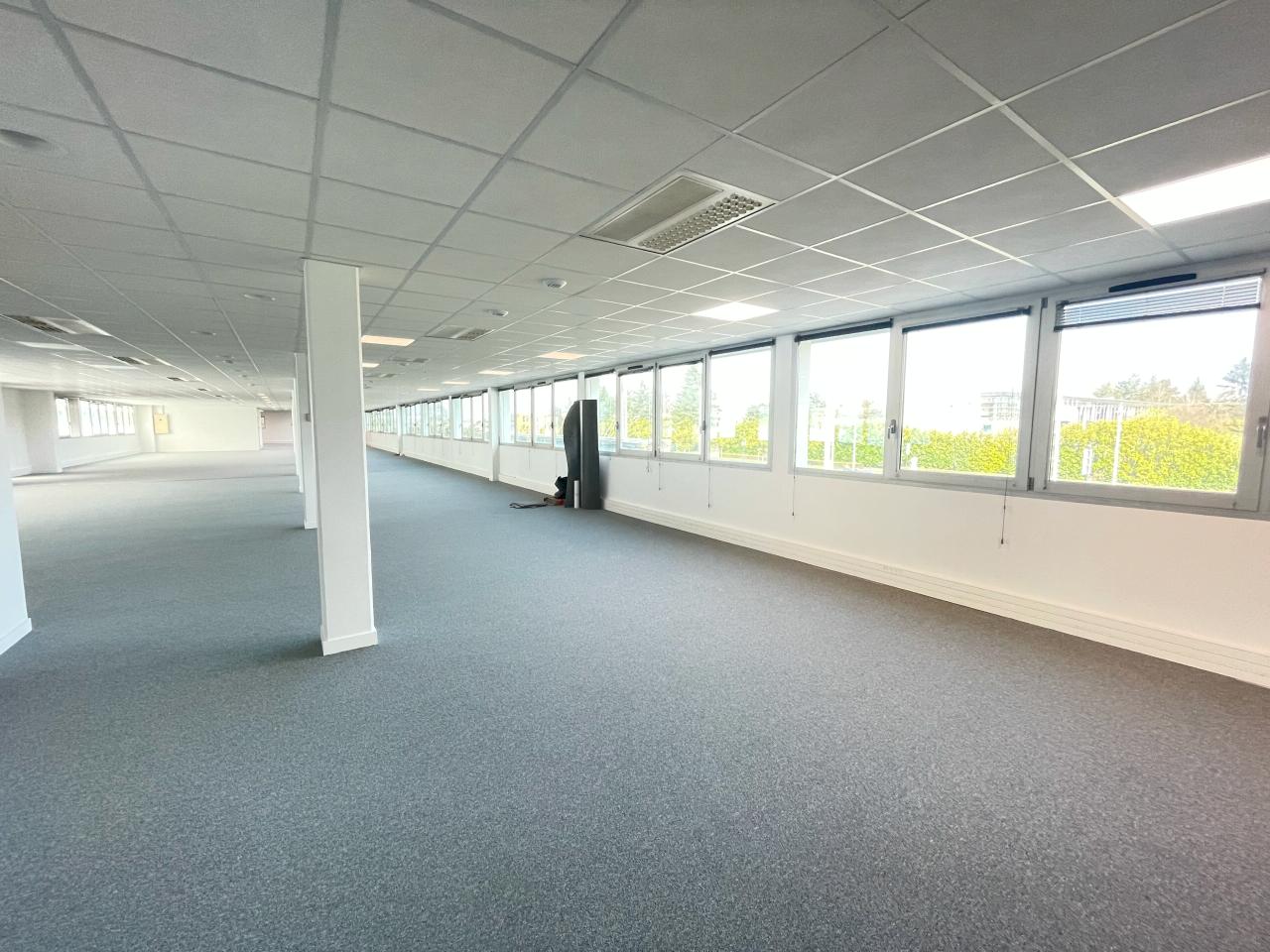 Location bureau OLBUR2318294 5