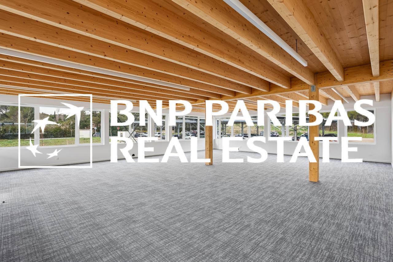 Location bureau OLBUR2313993 7