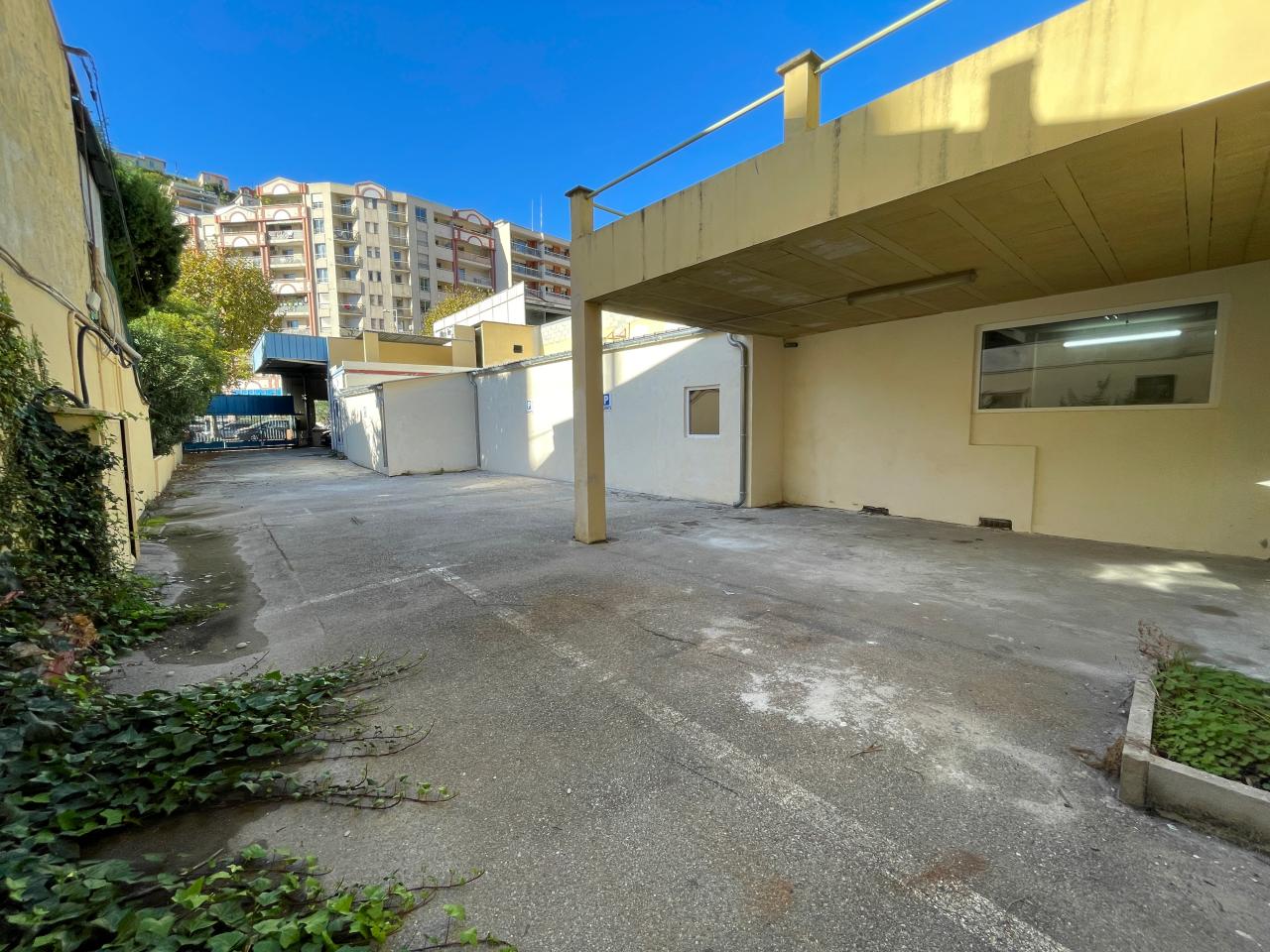 Vente local d'activité Nice Alpes-Maritimes OVACT2533855 3