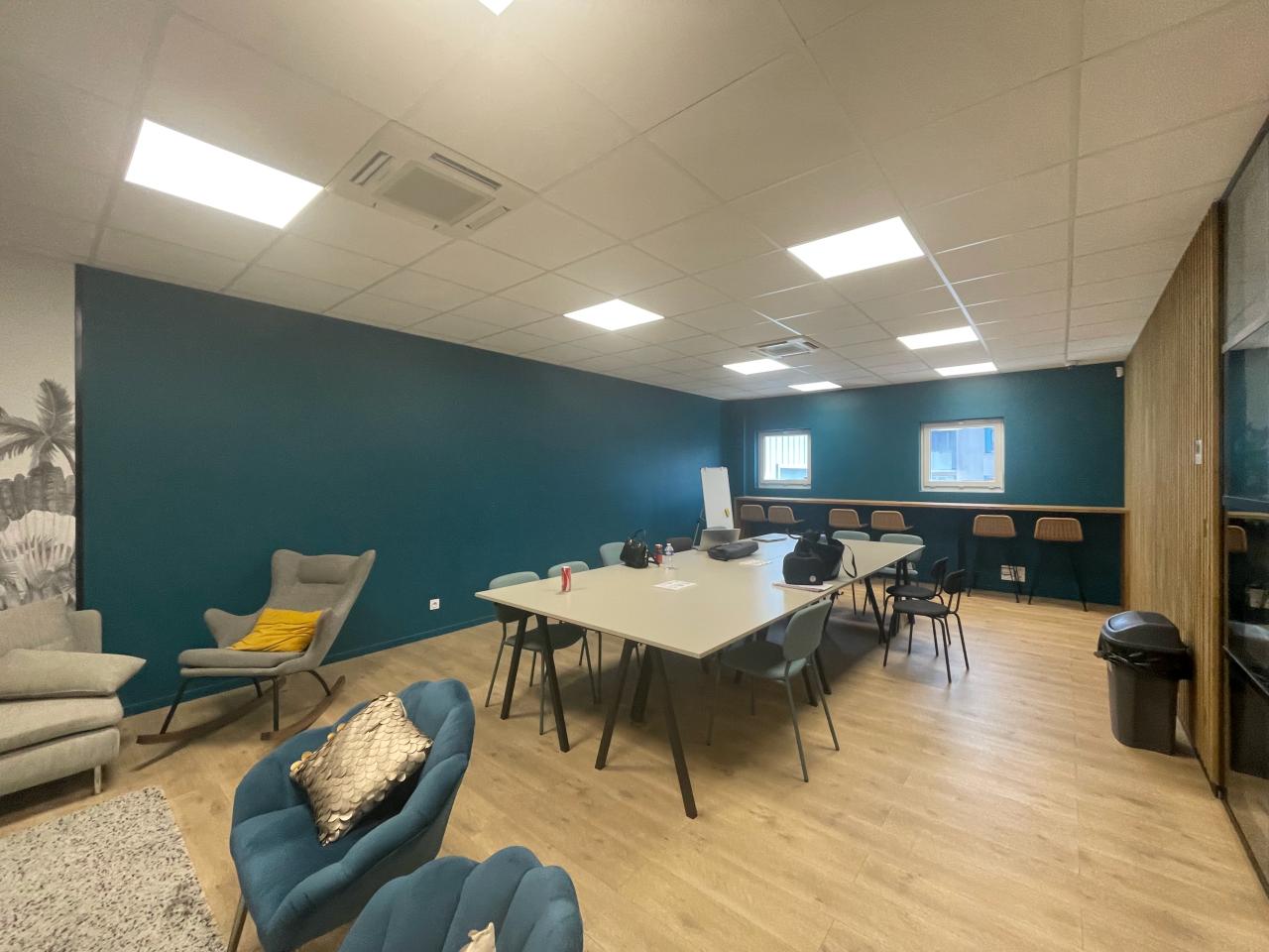 Location local d'activité Villeurbanne Rhône OLACT2535253 22