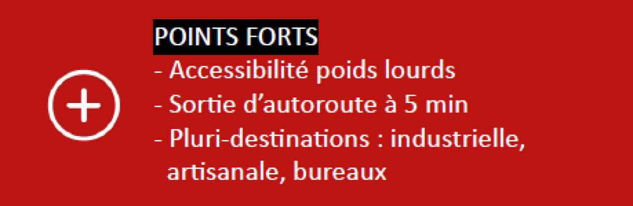 Vente local d'activité Guéreins Ain OVACT2309515 7