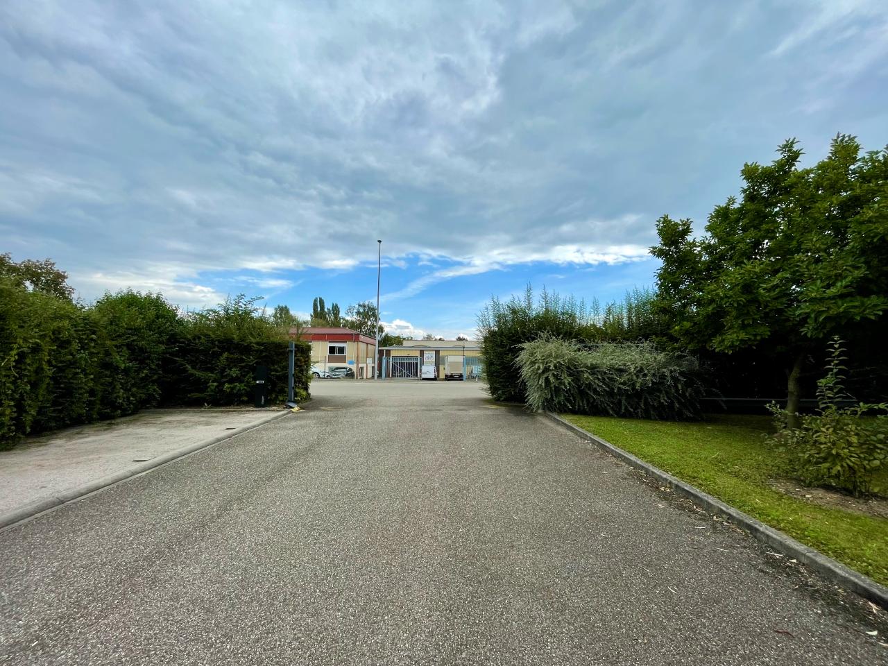 Vente local d'activité Illkirch-Graffenstaden Bas-Rhin OVACT2425368 2