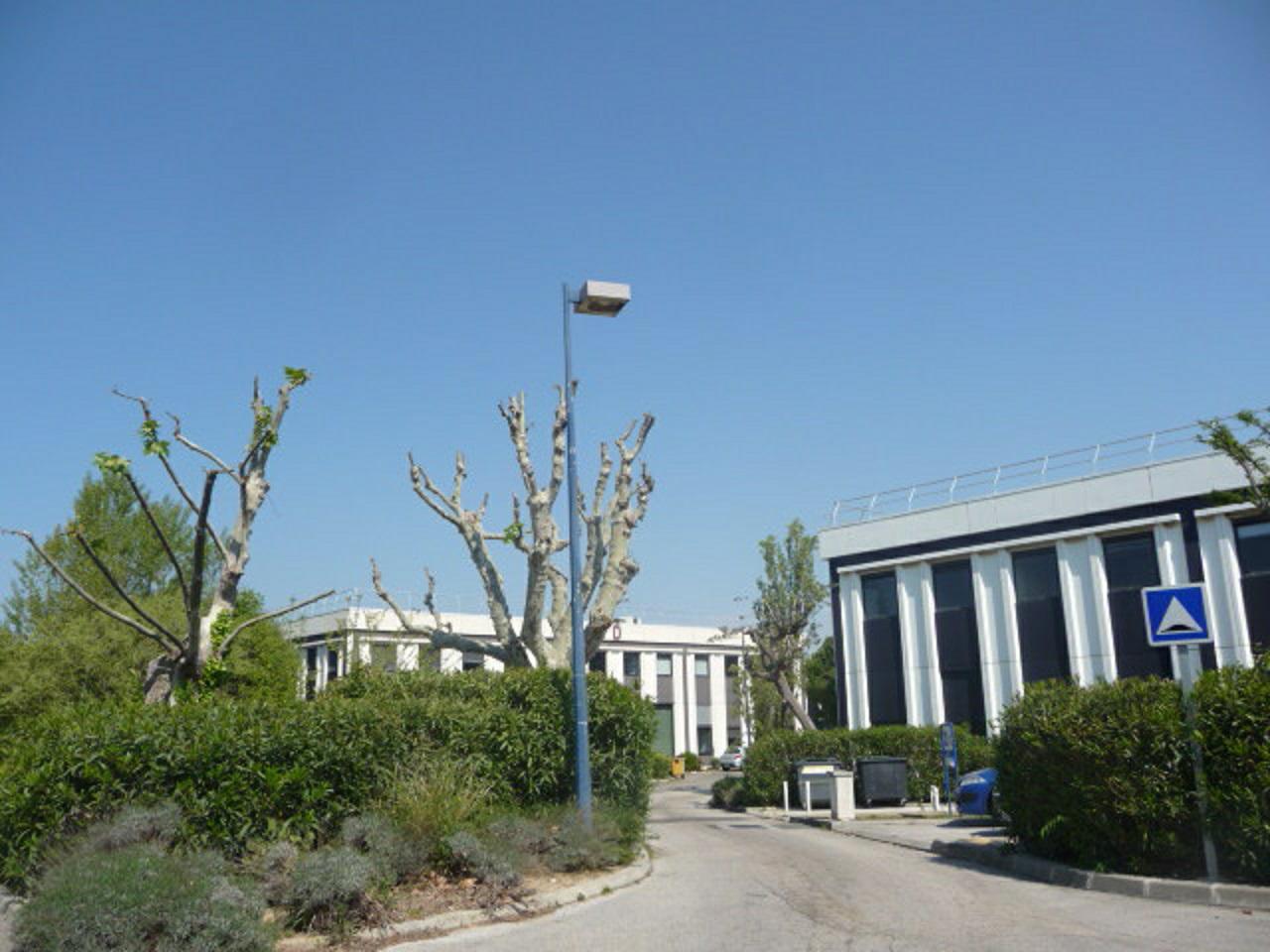 Location bureau Marseille Bouches-du-Rhône OLBUR2114710 1