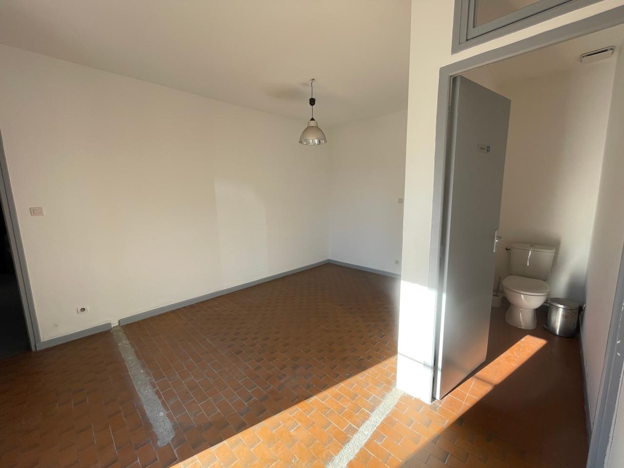 Location local d'activité Saint-Alban Haute-Garonne OLACT2530661 10