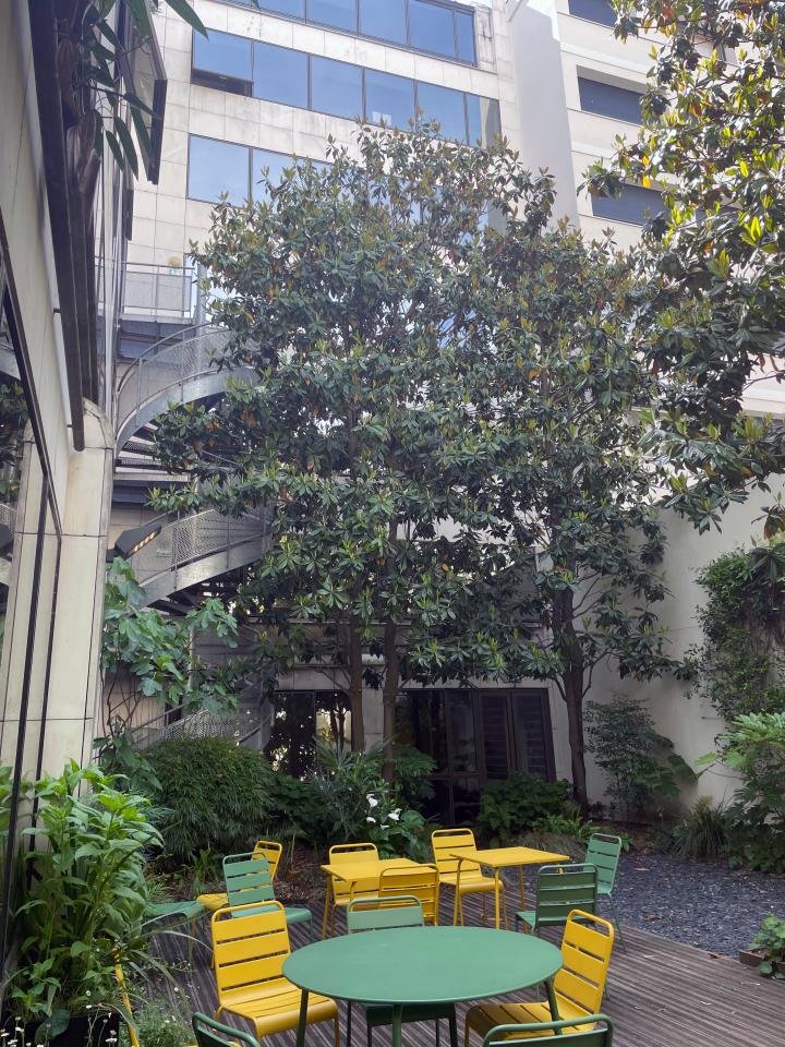 Vente bureau Levallois-Perret Hauts-de-Seine OVBUR2534292 7