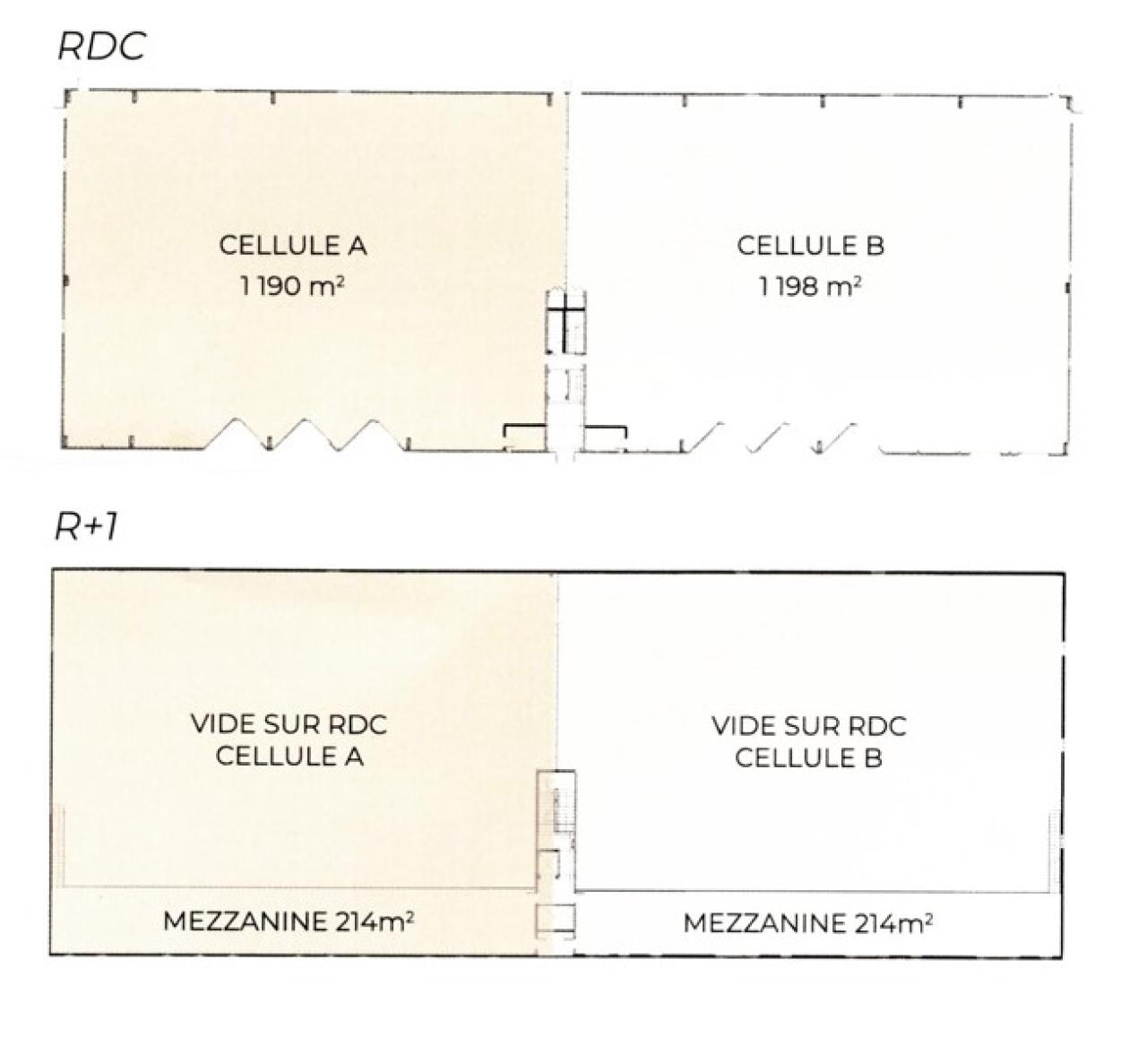 Location local d'activité Vitrolles Bouches-du-Rhône OLACT2639739 1