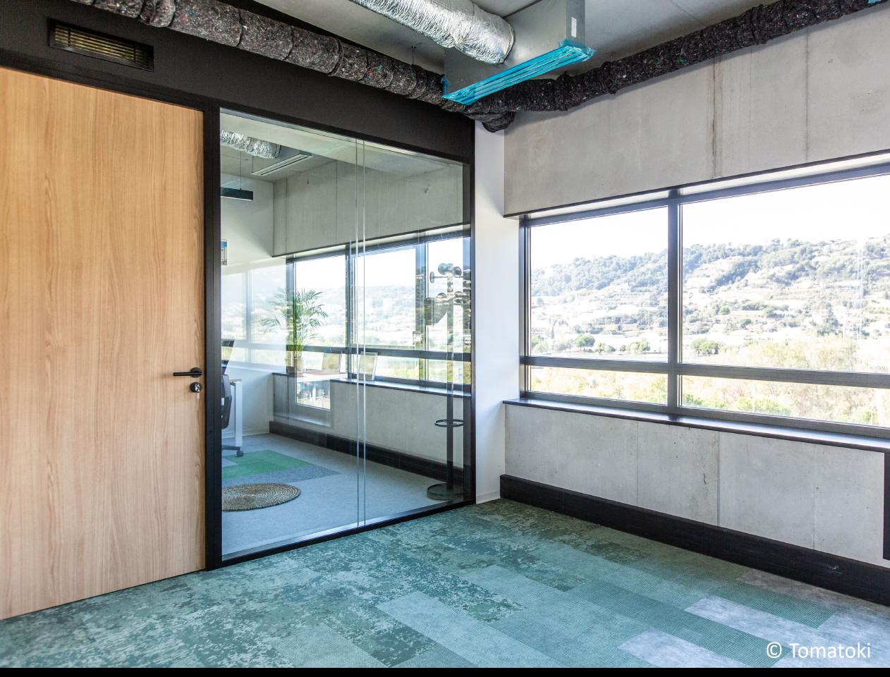 Location bureau Nice Alpes-Maritimes AOLBUR2311500_5 7