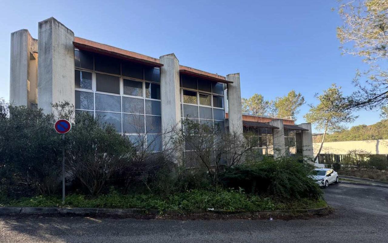 Location local d'activité Sophia Antipolis Alpes-Maritimes OLACT2530005 8