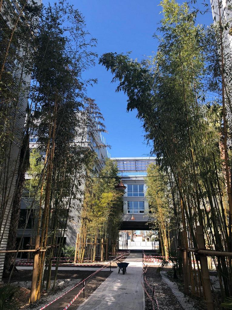 Location bureau Bègles Gironde OLBUR2002403 6