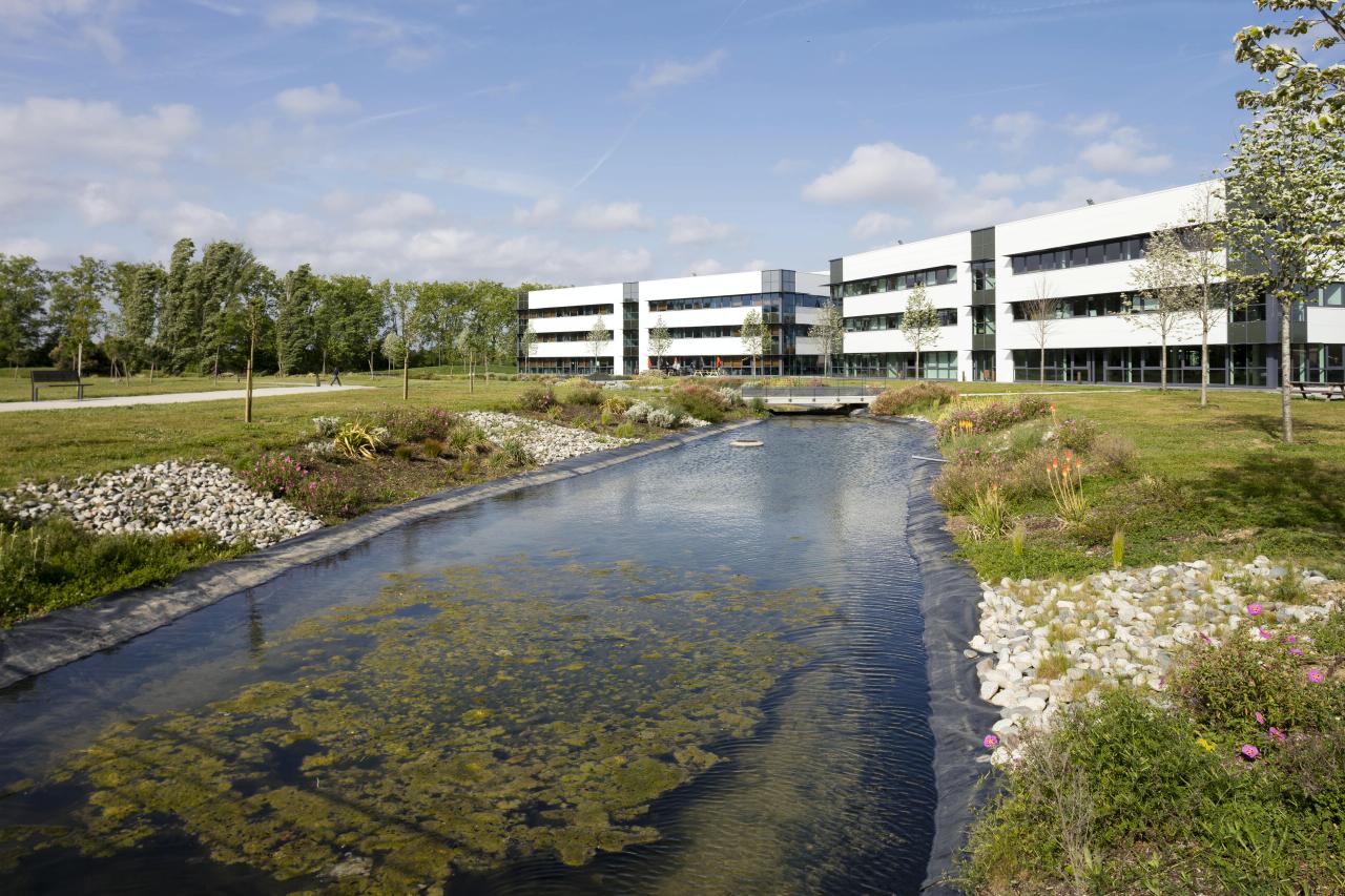 Location local d'activité Toulouse Haute-Garonne OLACT2207339 37