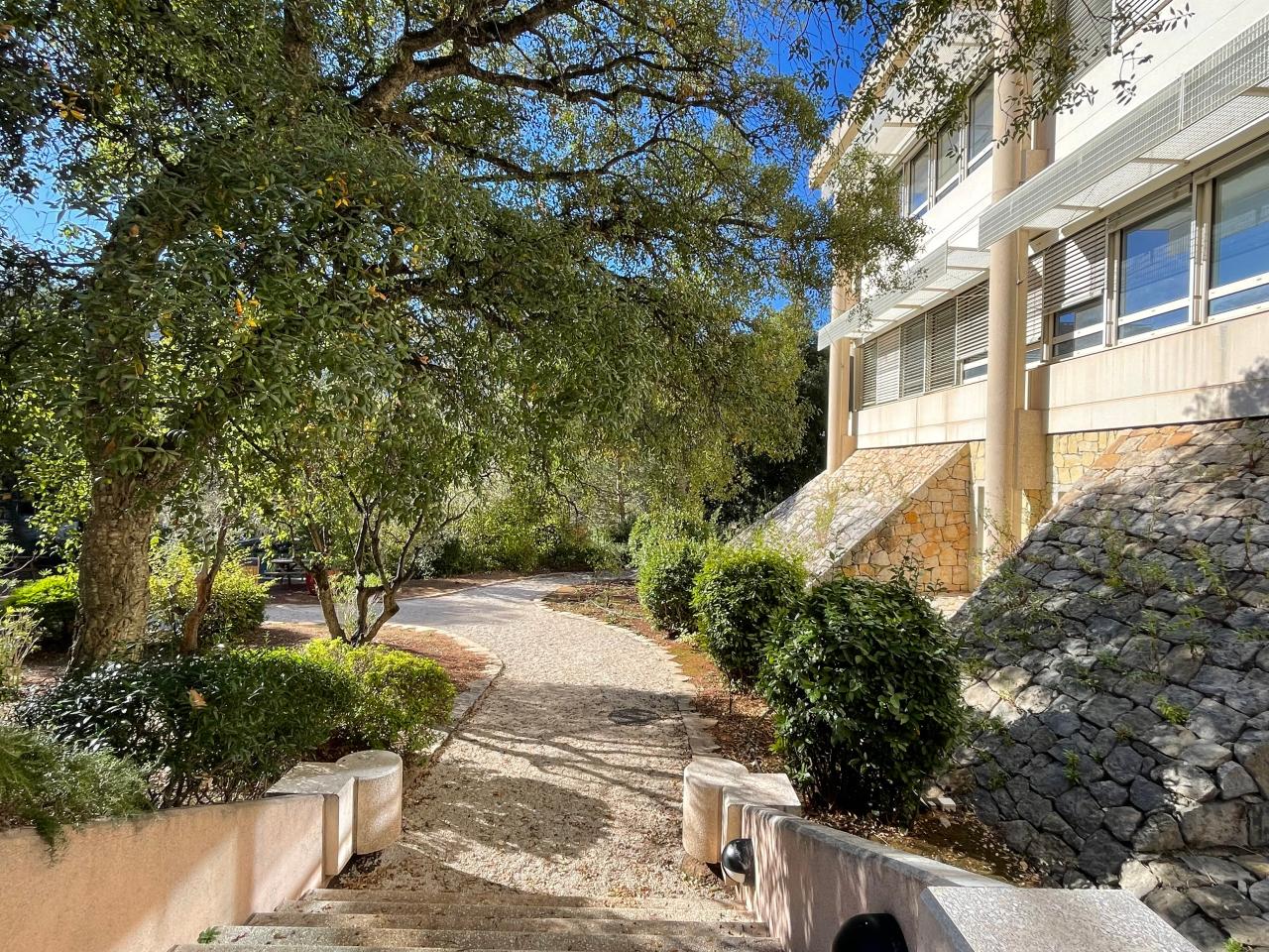 Location bureau Biot Alpes-Maritimes OLBUR2115386 3