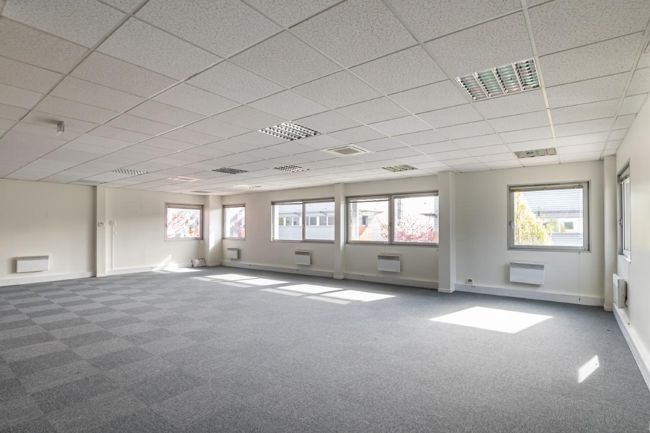 Location local d'activité Le Blanc-Mesnil Seine-Saint-Denis OLACT2119607 13