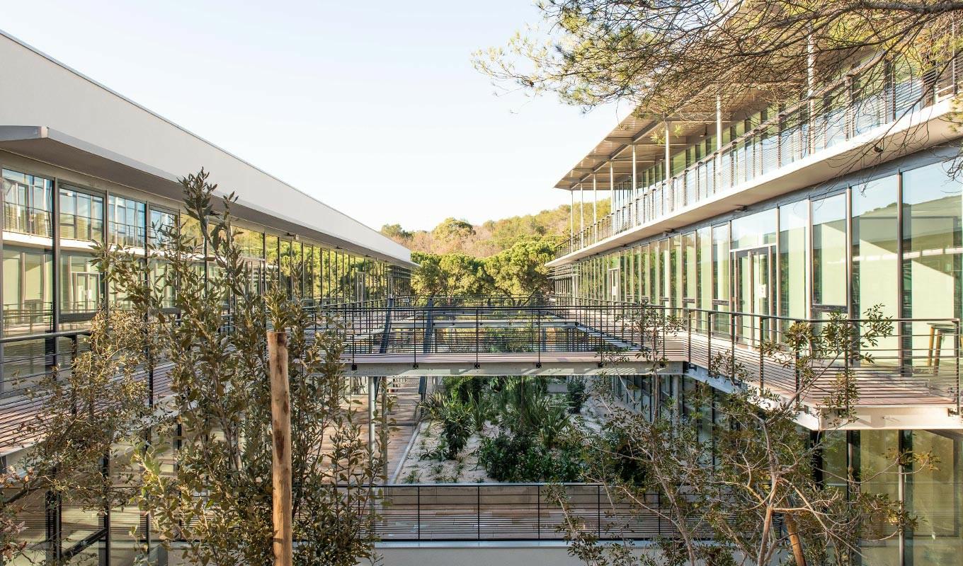 Location local d'activité Sophia Antipolis Alpes-Maritimes OLACT2309642 8
