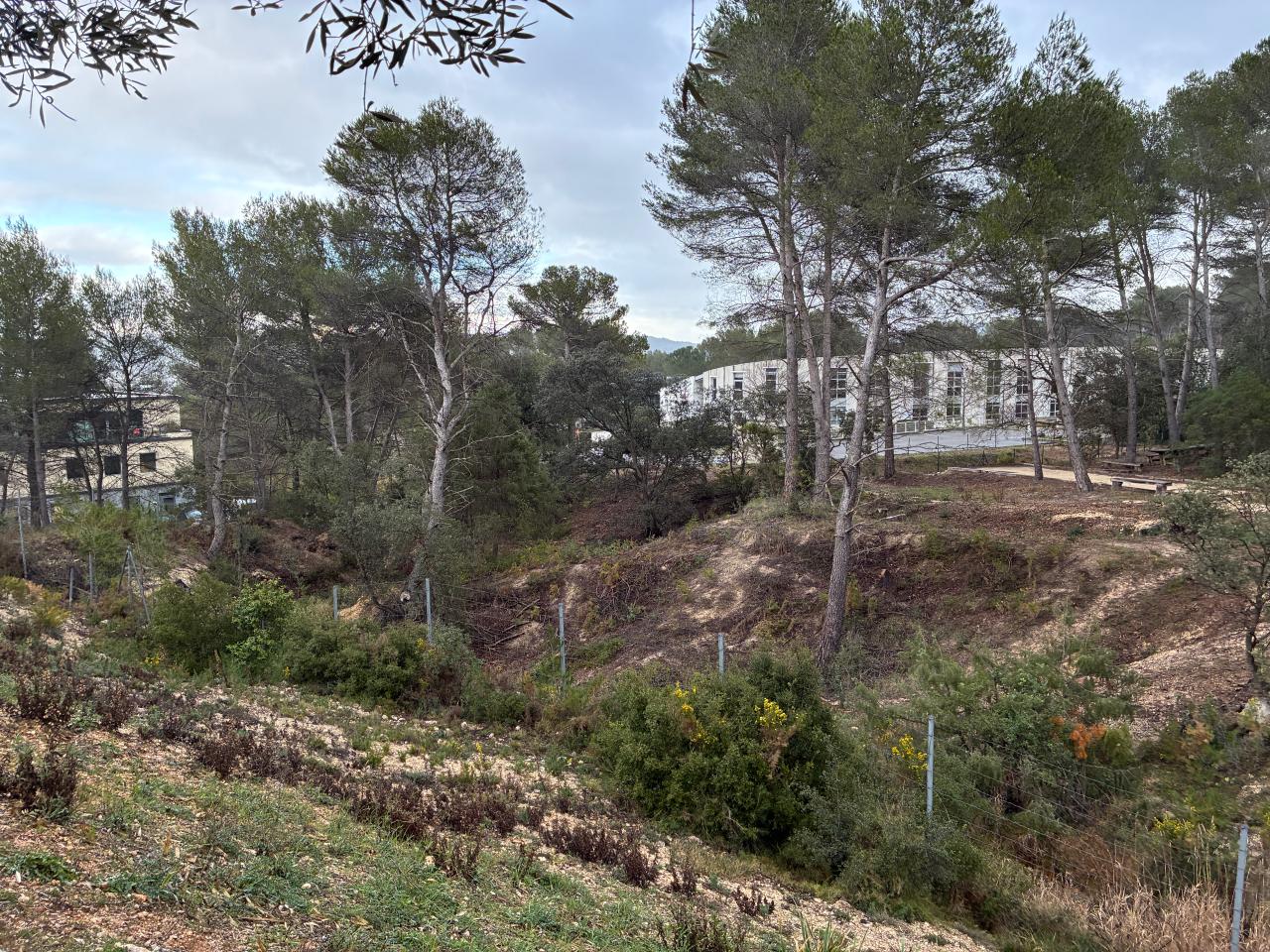 Location bureau Aix-en-Provence Bouches-du-Rhône OLBUR2309247 2