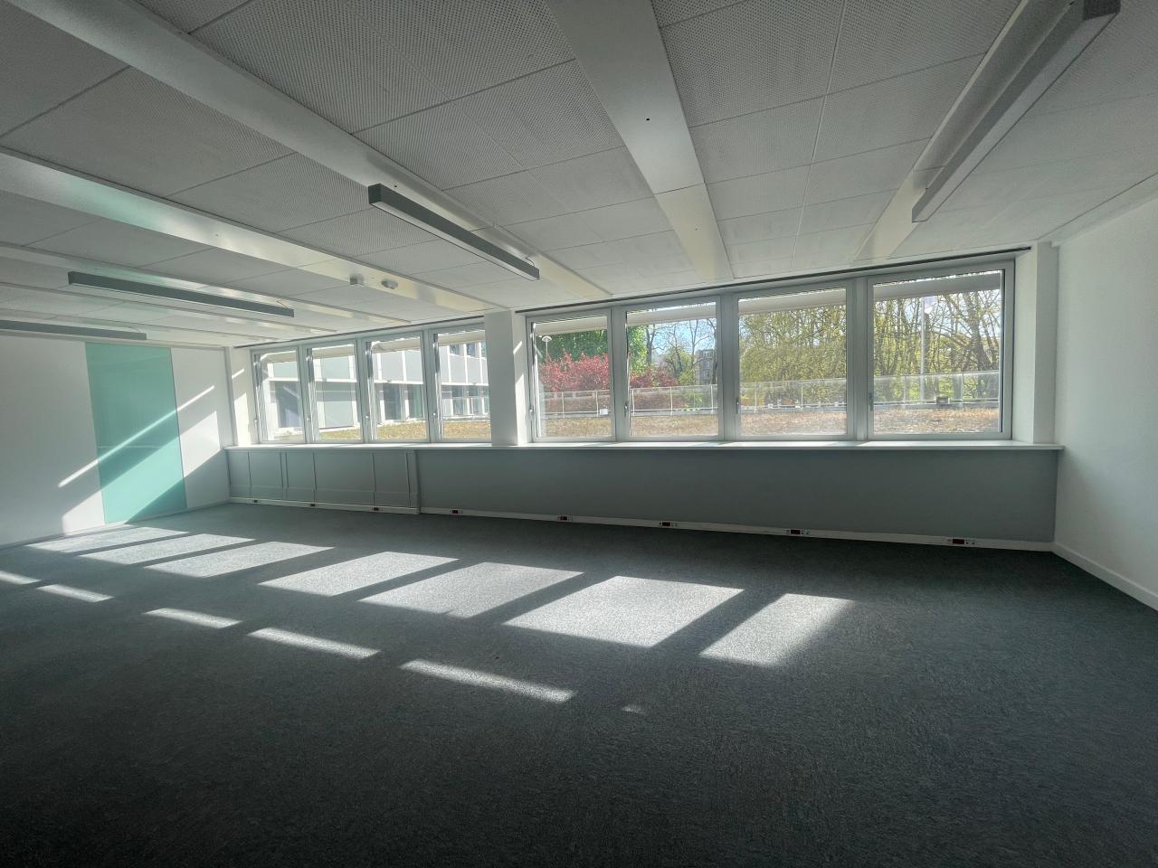 Location bureau Strasbourg Bas-Rhin OLBUR2310518 14