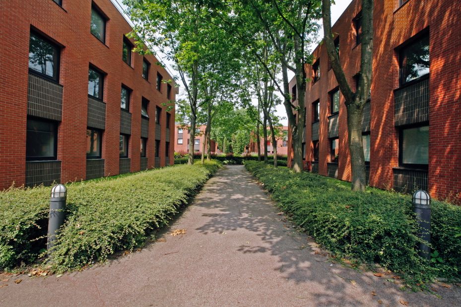 Location bureau Montigny-le-Bretonneux Yvelines OLBUR2103913 24