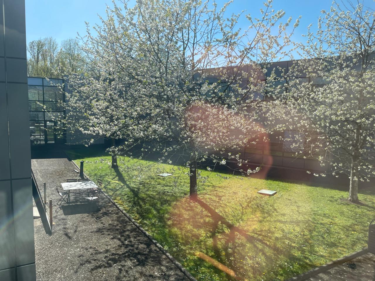 Location bureau Tours Indre-et-Loire OLBUR2536350 8