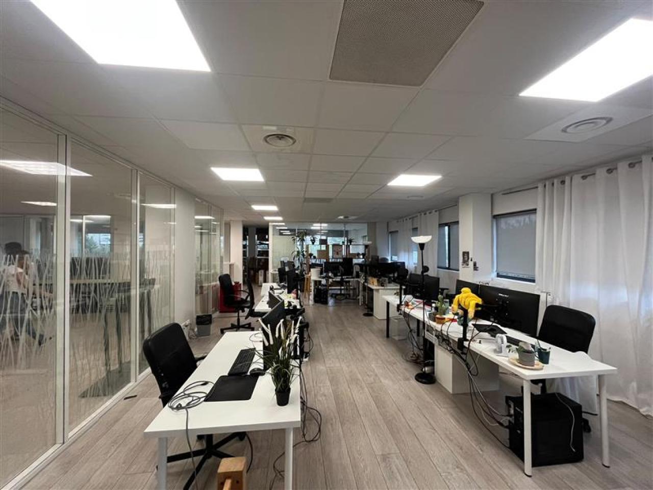 Location bureau Montpellier Hérault OLBUR2531087 22