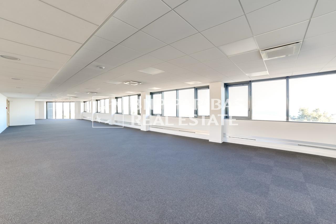 Location bureau Nice Alpes-Maritimes OLBUR2427059 9