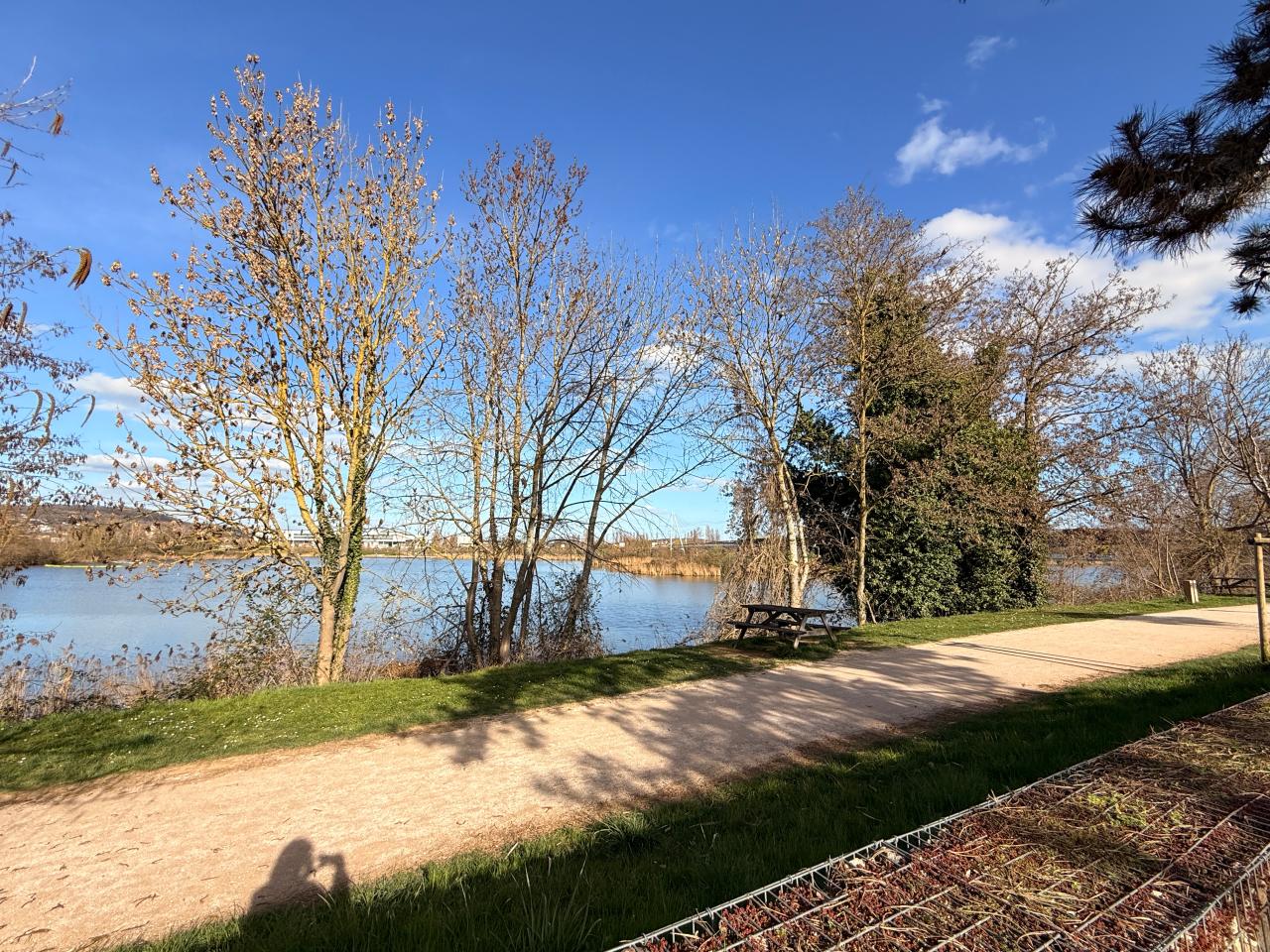 Location bureau Nancy Meurthe-et-Moselle OLBUR2537350 6