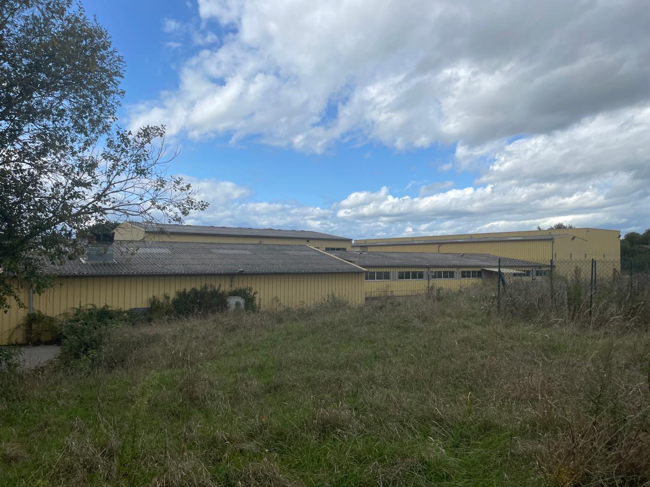 Vente local d'activité Saint-Trivier-sur-Moignans Ain OVACT2534885 7