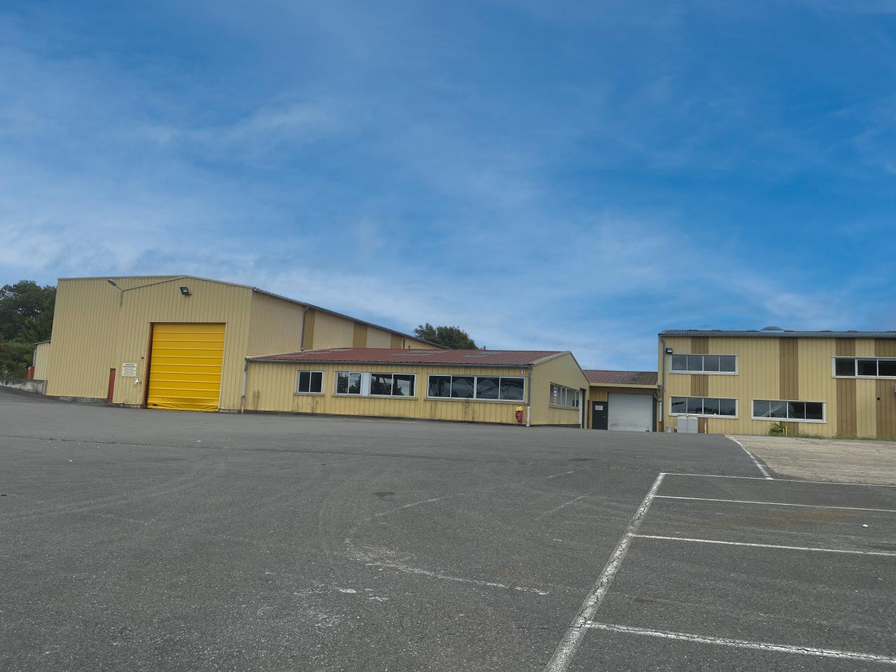 Vente local d'activité Saint-Trivier-sur-Moignans Ain OVACT2534885 5