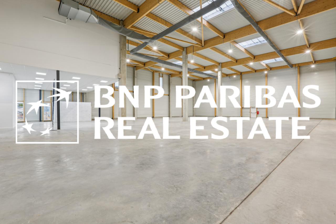Location local d'activité Moissy-Cramayel Seine-et-Marne OLACT2201095 8