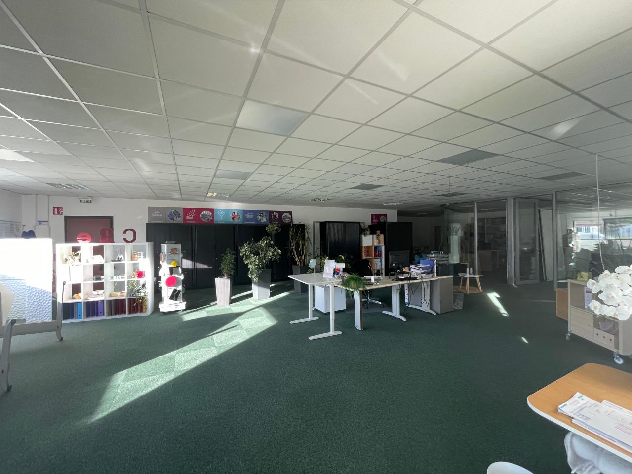 Location local d'activité Bischoffsheim Bas-Rhin OLACT2536893 6