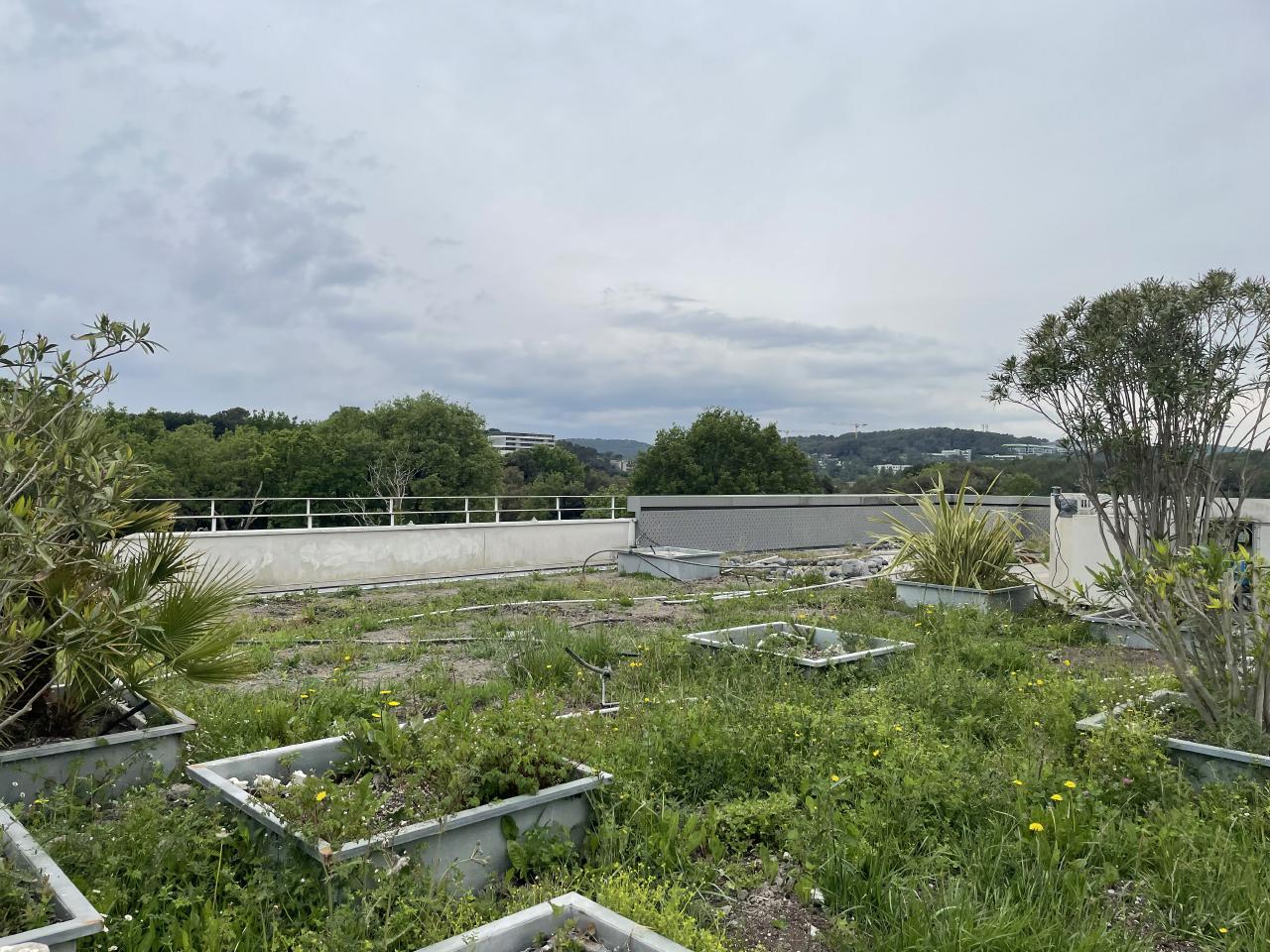 Location bureau Biot Alpes-Maritimes OLBUR2114865 3