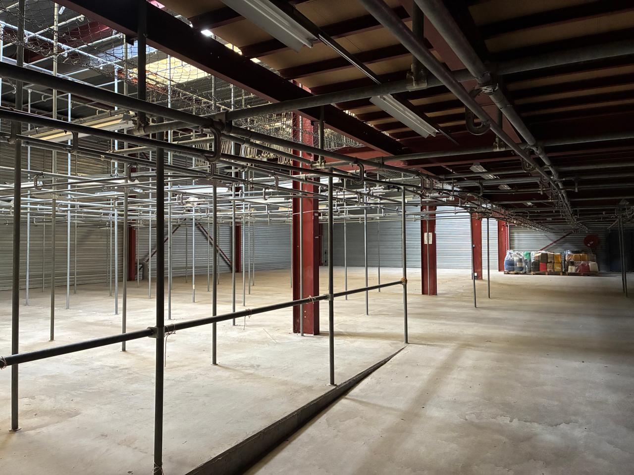 Location local d'activité Hoerdt Bas-Rhin OLACT2644668 5