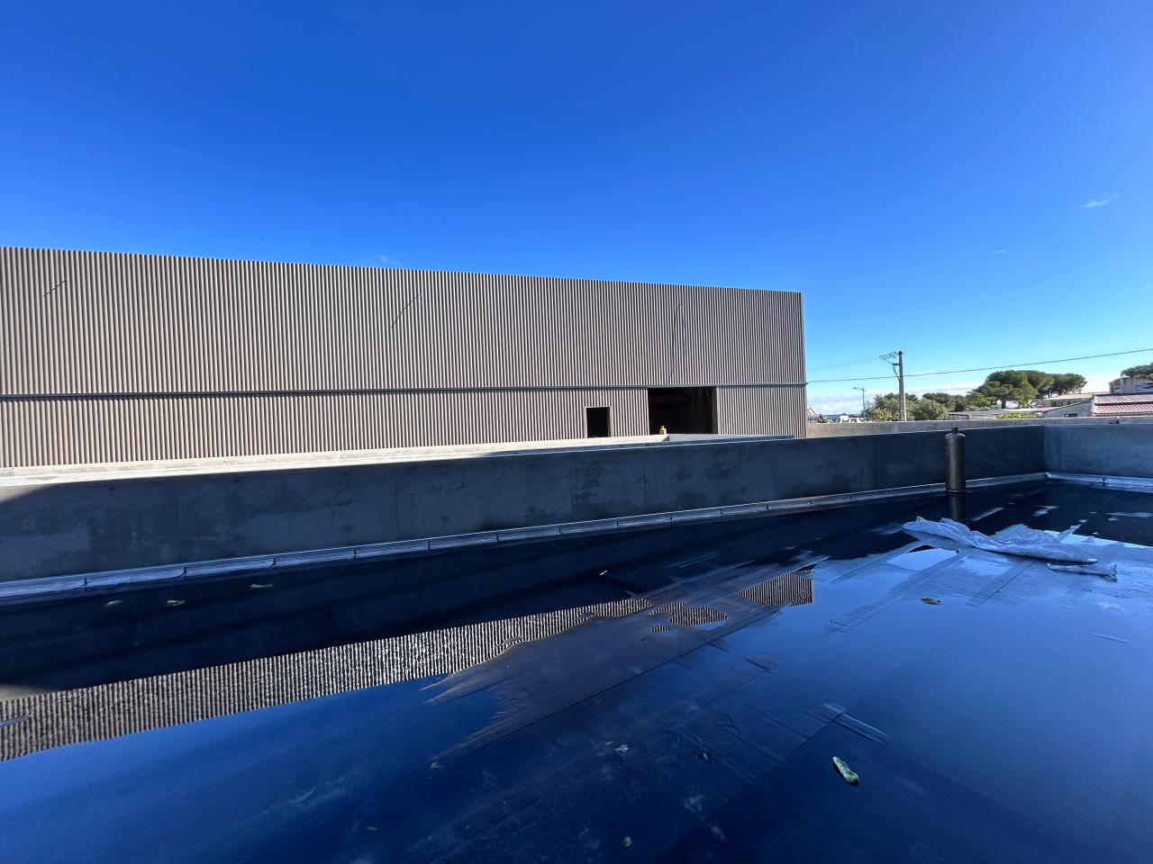 Vente local d'activité Villeneuve-lès-Maguelone Hérault OVACT2426860 11
