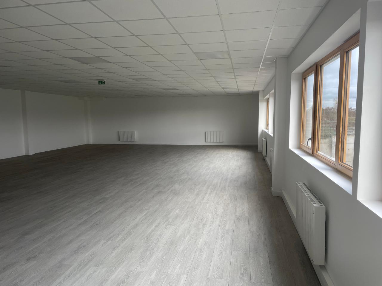 Location local d'activité Stains Seine-Saint-Denis OLACT2419370 5