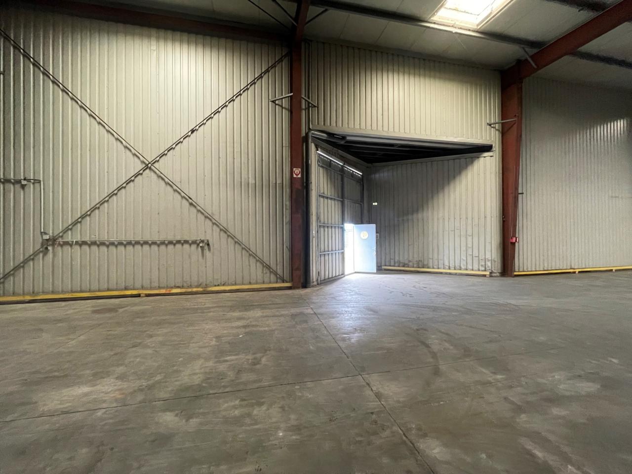 Location local d'activité Duttlenheim Bas-Rhin OLACT2532781 8