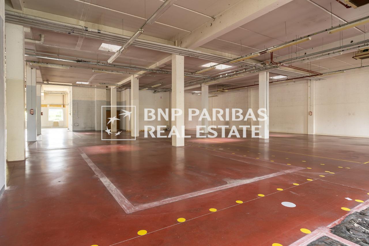 Location local d'activité Antony Hauts-de-Seine OLACT2002944 6