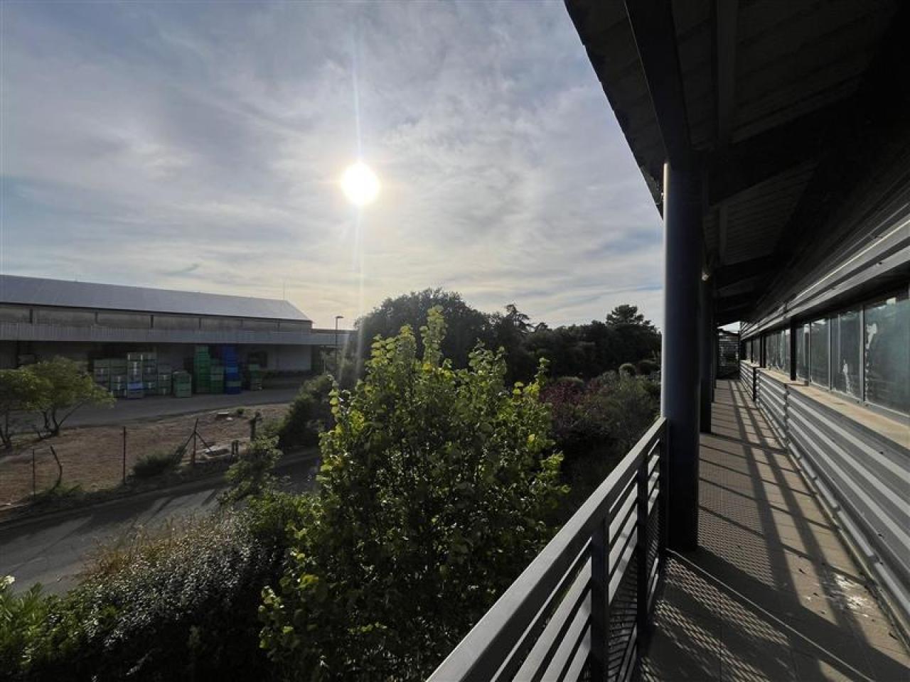 Vente bureau Mudaison Hérault OVBUR2535246 16