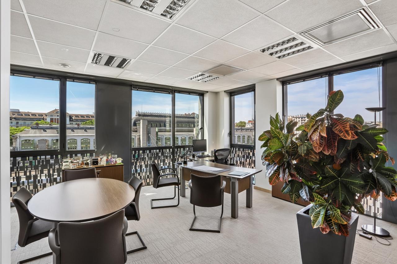 Location bureau Lyon Rhône OLBUR2536200 6