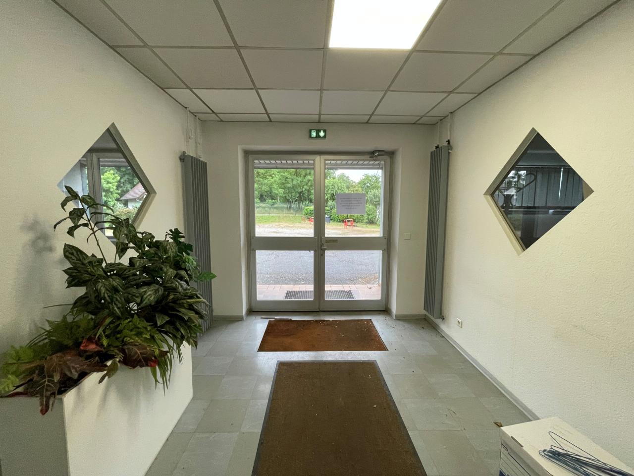 Vente local d'activité Bischwiller Bas-Rhin OVACT2533127 5