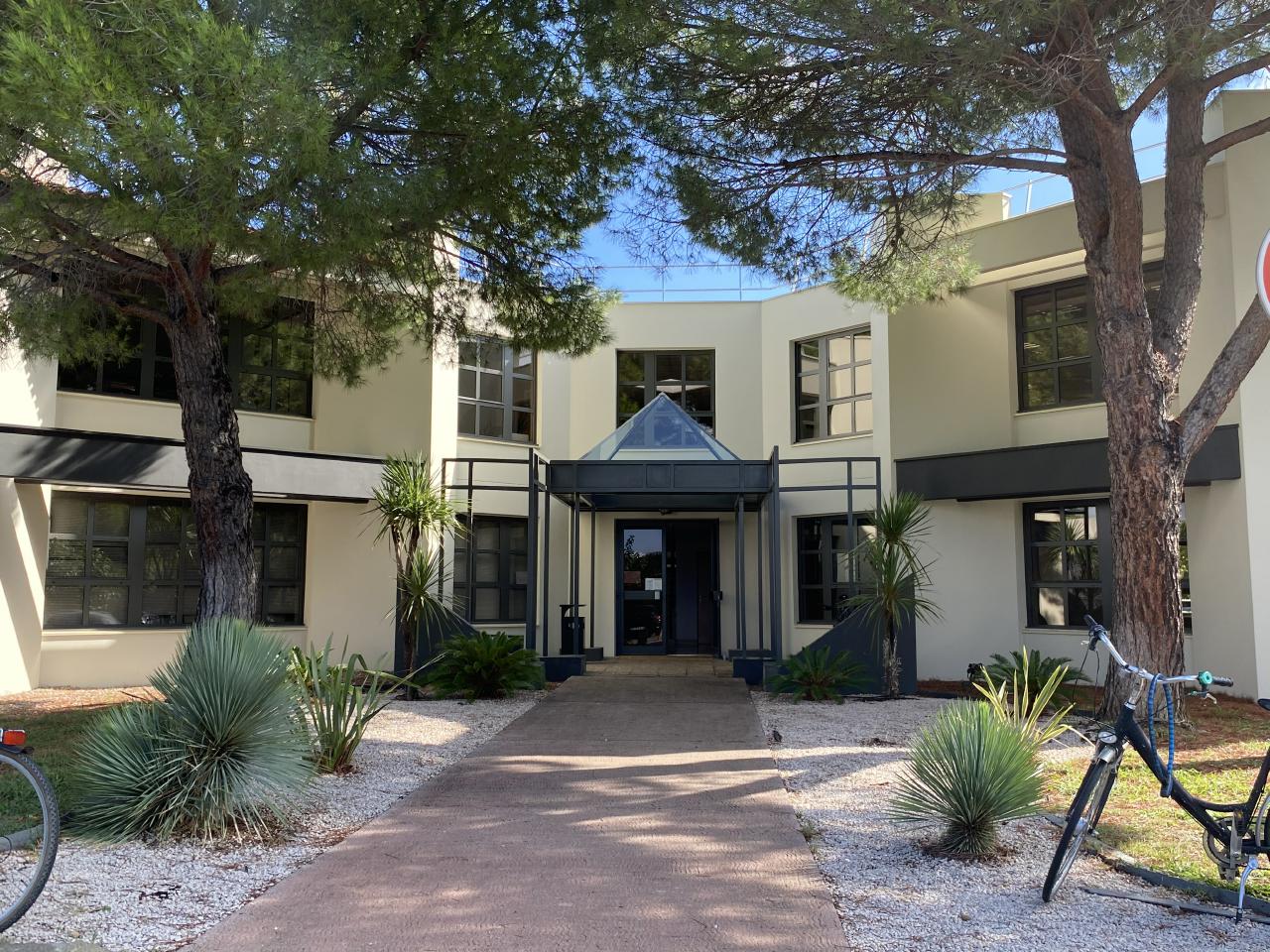 Location bureau Montpellier Hérault OLBUR2534767