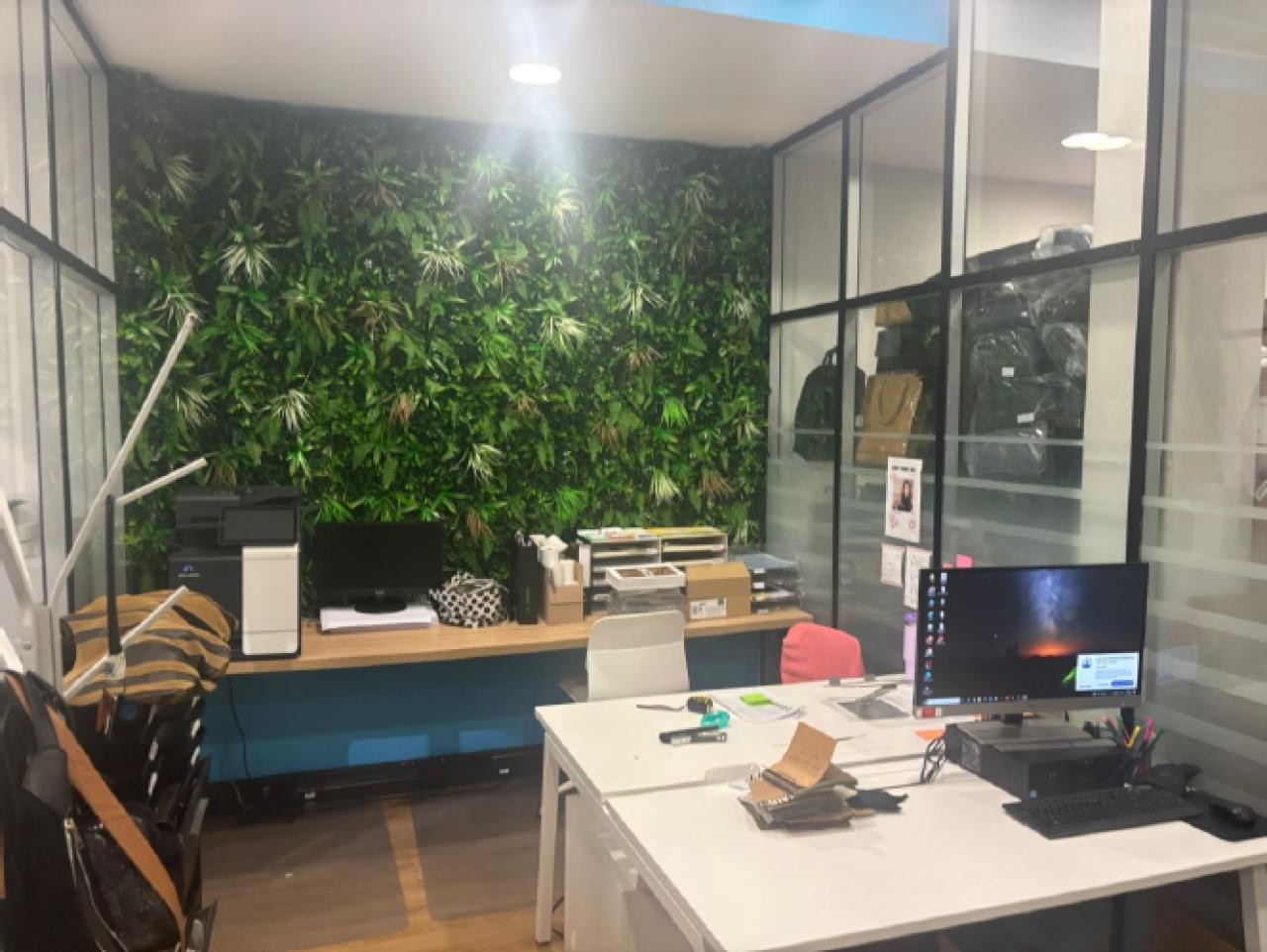Location bureau Paris OLBUR2533992 5