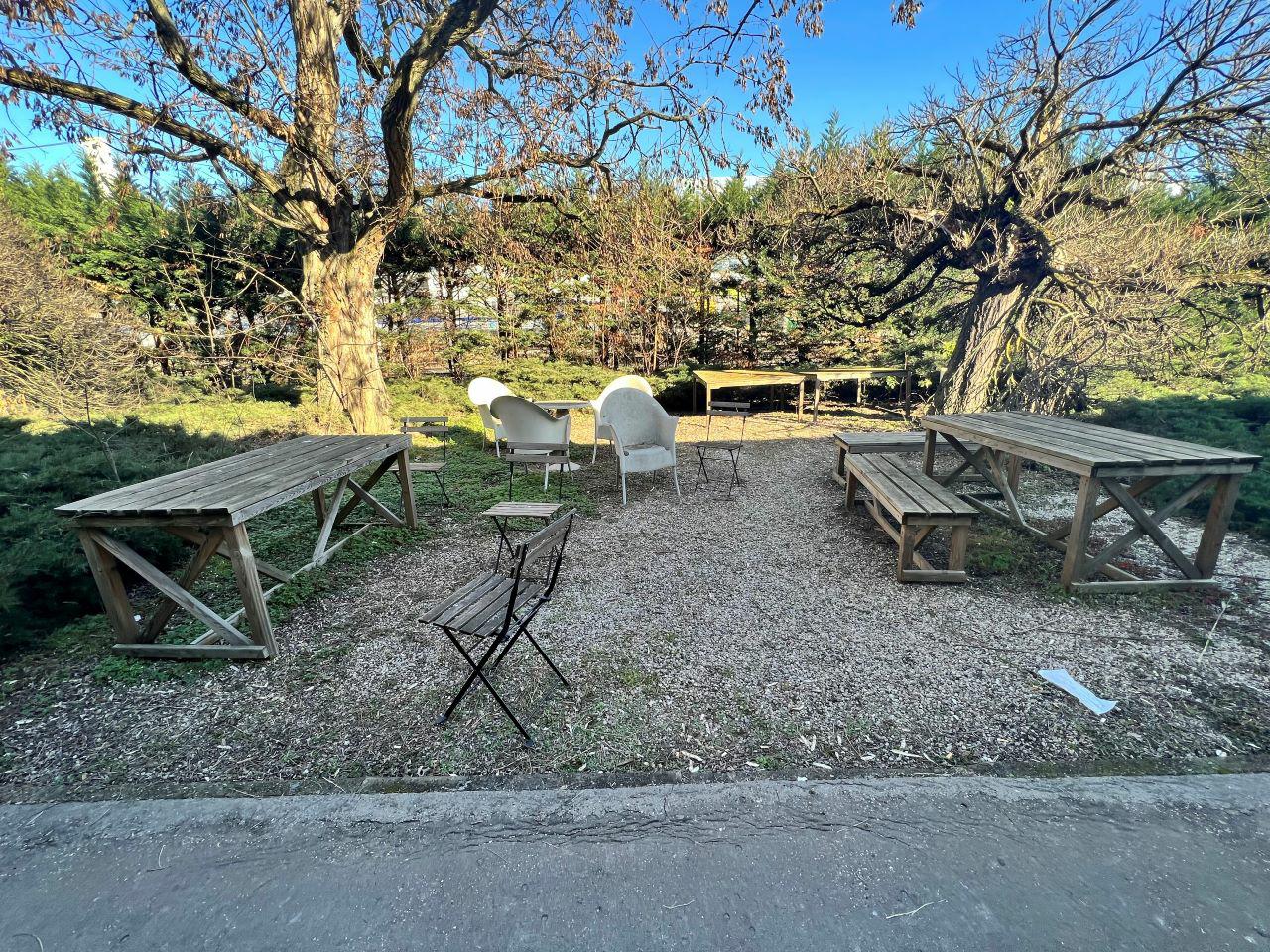 Location bureau Lyon Rhône OLBUR2309712 5