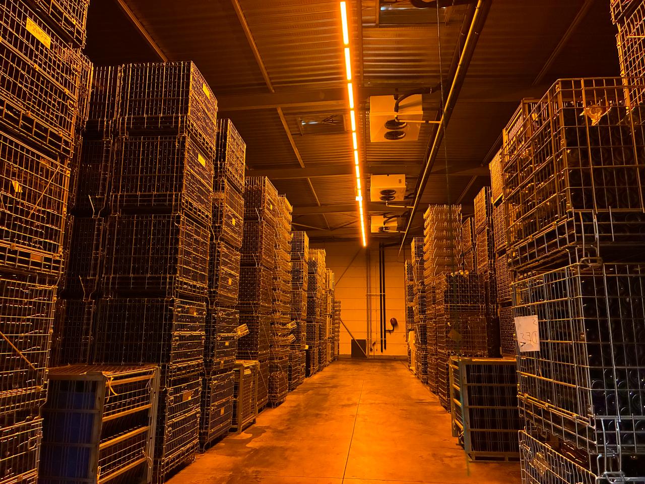 Location local d'activité Colmar Haut-Rhin OLACT2118546 4