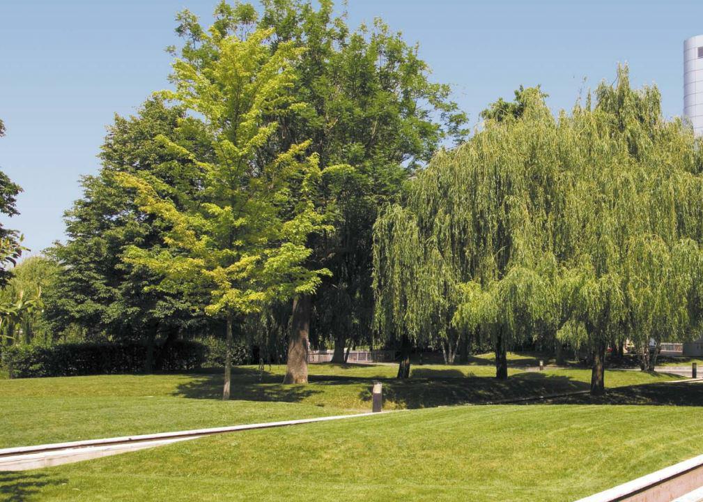 Location bureau Rueil-Malmaison Hauts-de-Seine OLBUR2001544 6