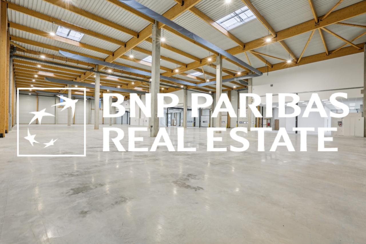 Location local d'activité Moissy-Cramayel Seine-et-Marne OLACT2201099 6