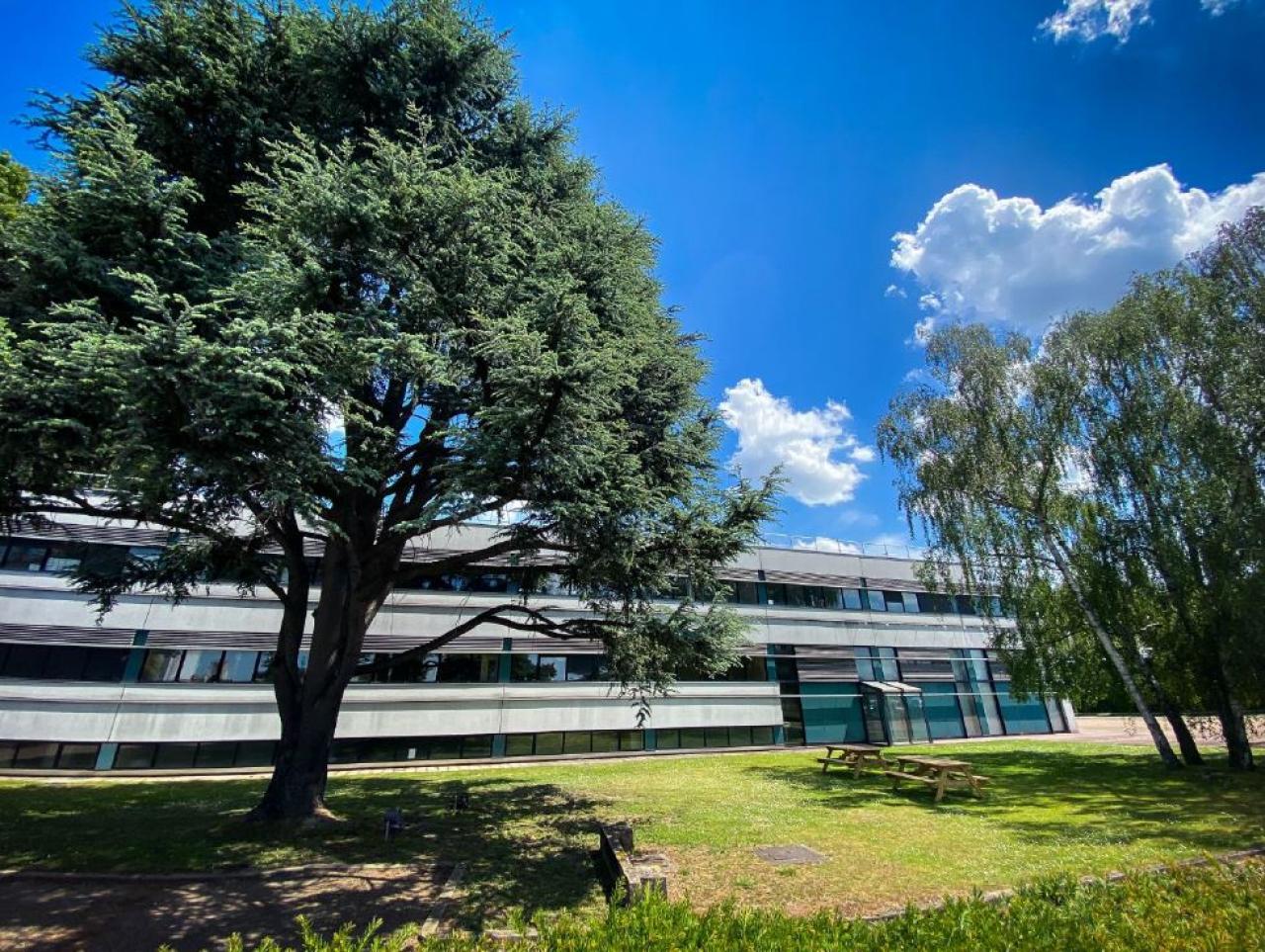 Location local d'activité Sotteville-lès-Rouen Seine-Maritime OLACT2425344 17