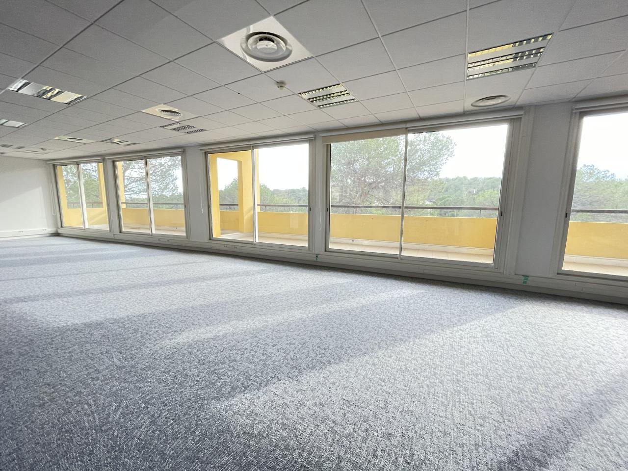 Location bureau Sophia Antipolis Alpes-Maritimes OLBUR2114891 13