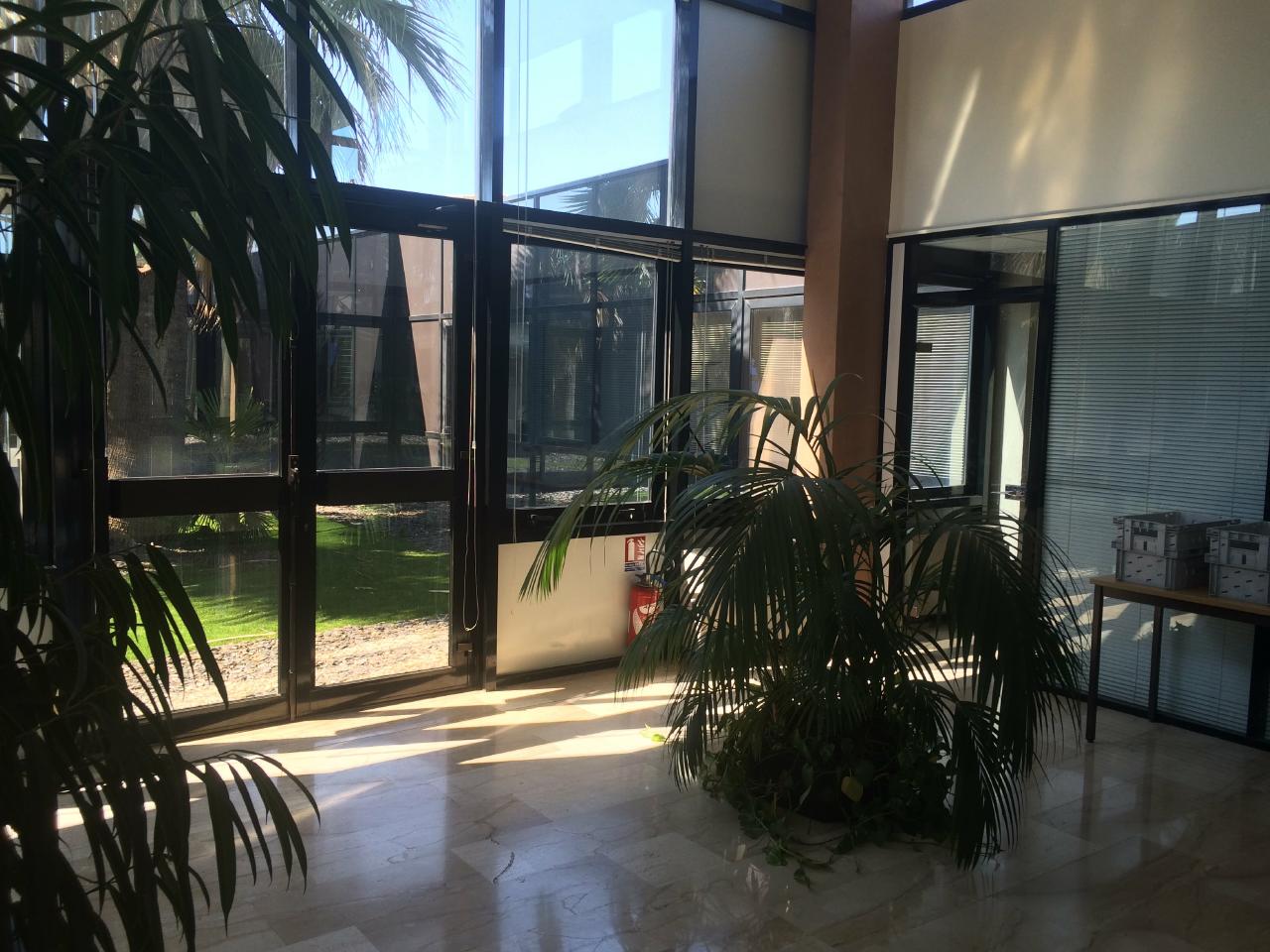 Location bureau Montpellier Hérault OLBUR2313296 4